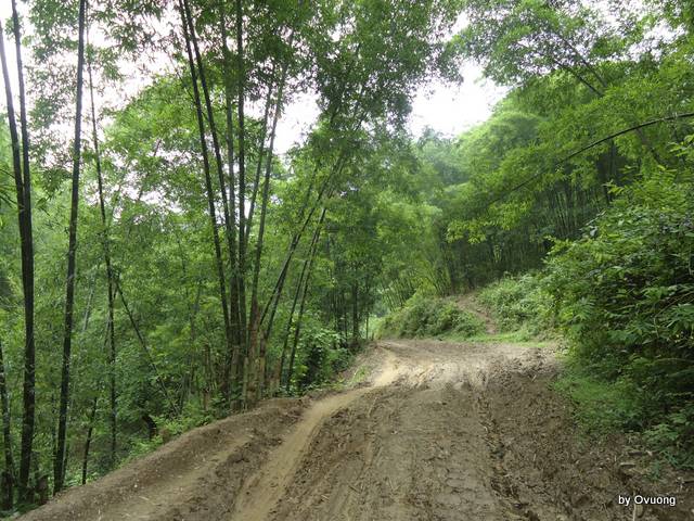DSC03752.jpg