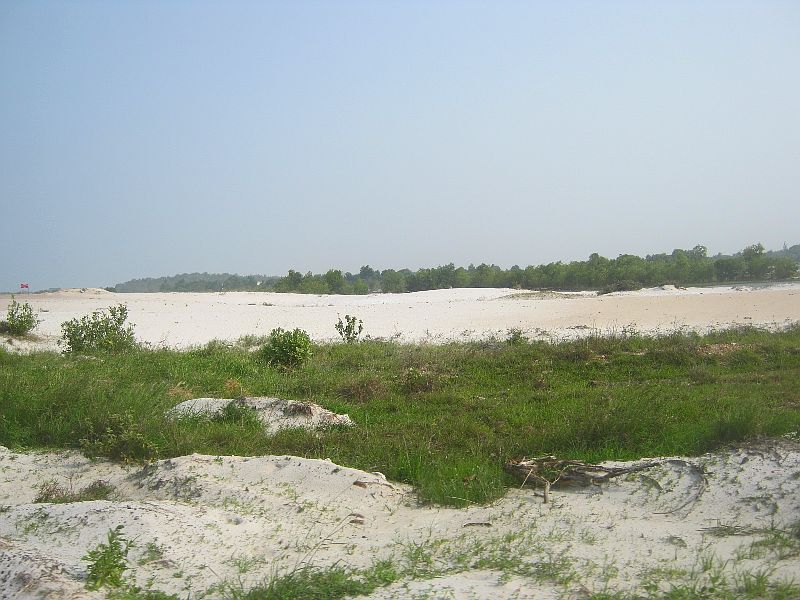 IMG_8672.jpg