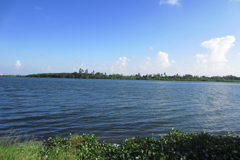 IMG_4181_zpsnfe5kz8t.jpg
