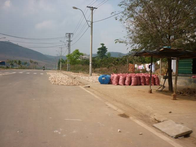 P1050654.jpg