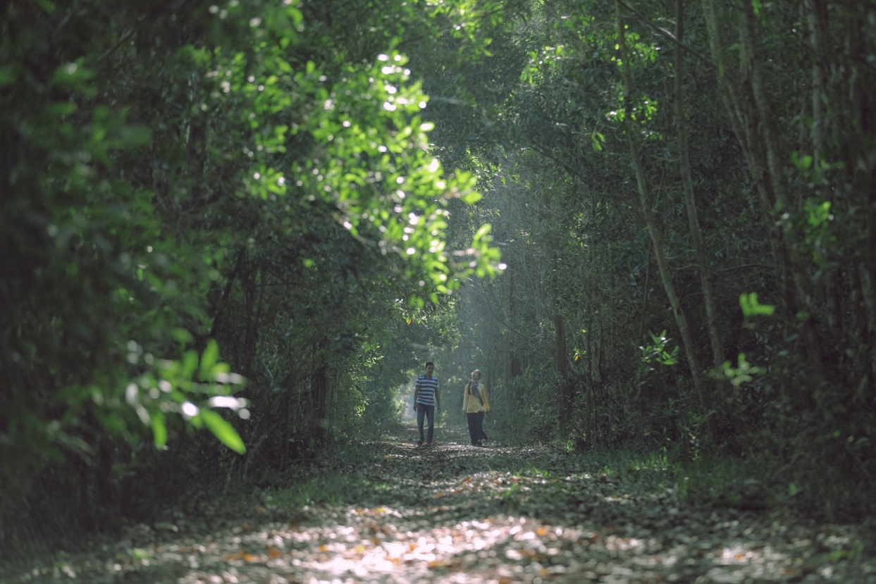 canhdongbattanlongan2.jpg