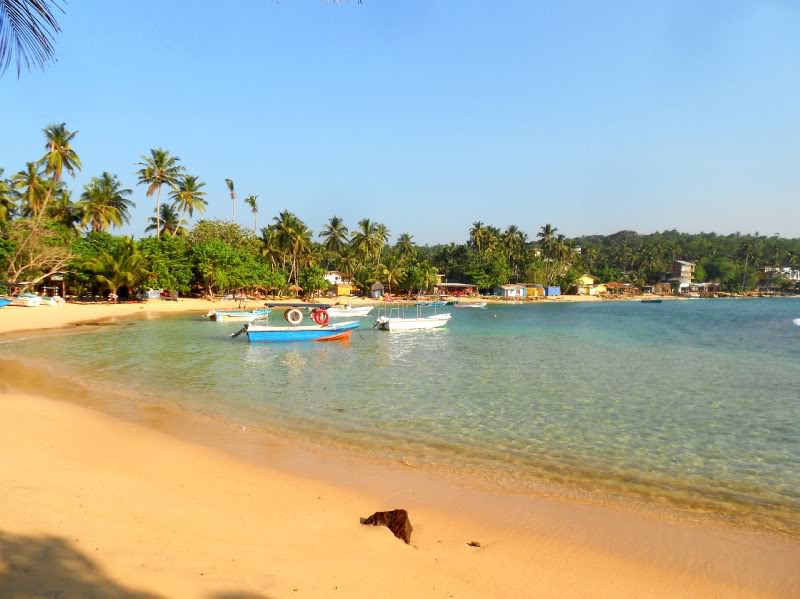 DSCN5965-2.jpg