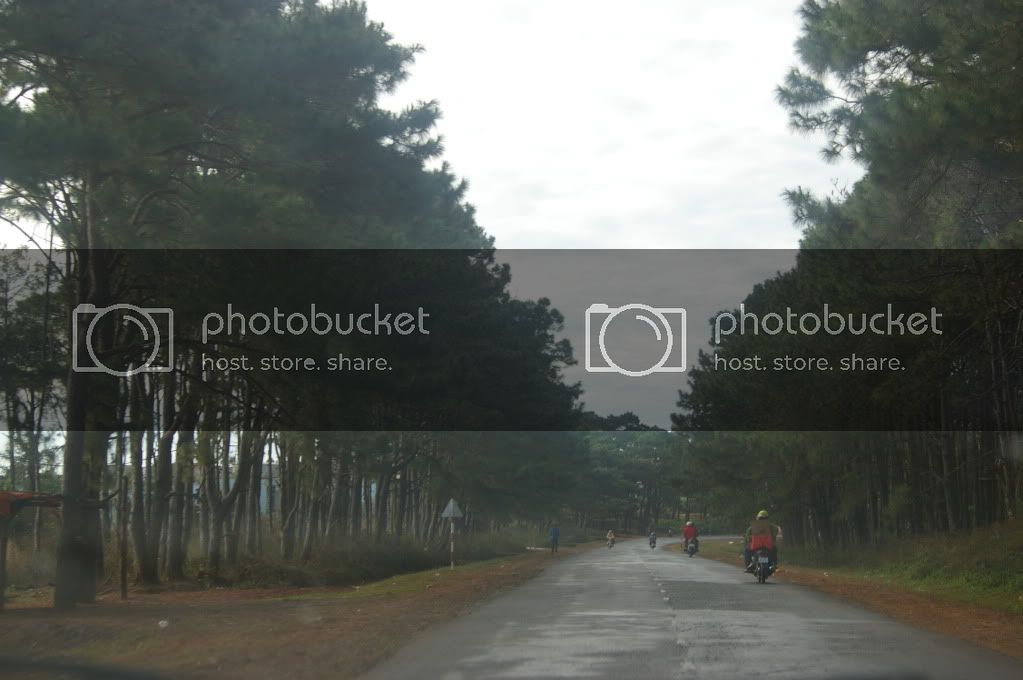 IMGP0194.jpg