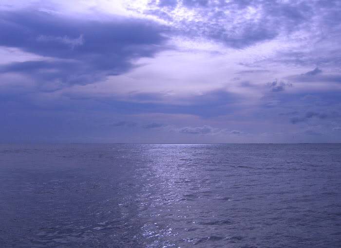 DSCN0961.jpg