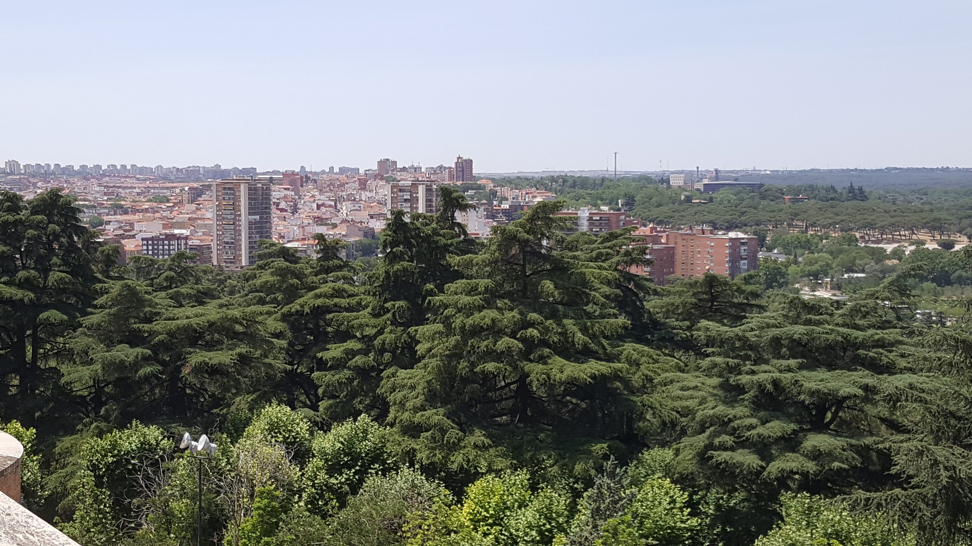 20170609_140332.jpg