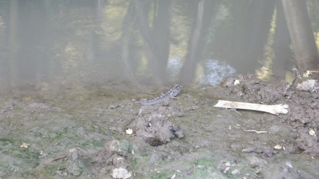 DSCN2778.jpg