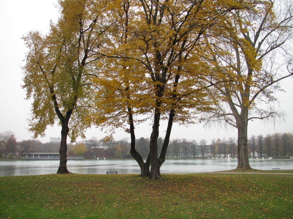 IMG_3441_zpsaf475f7a.jpg