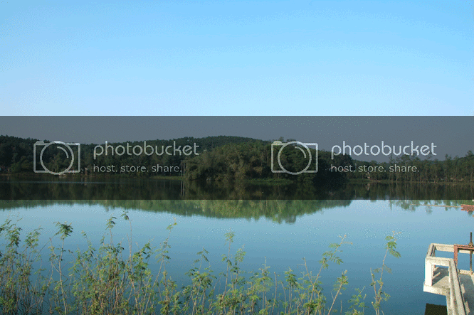 DSC_3937.gif