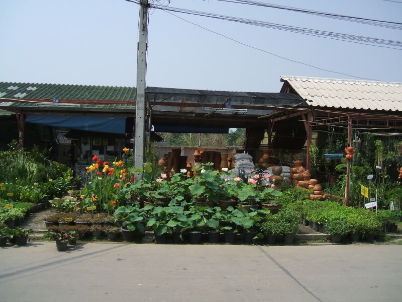 DSCF7606.jpg