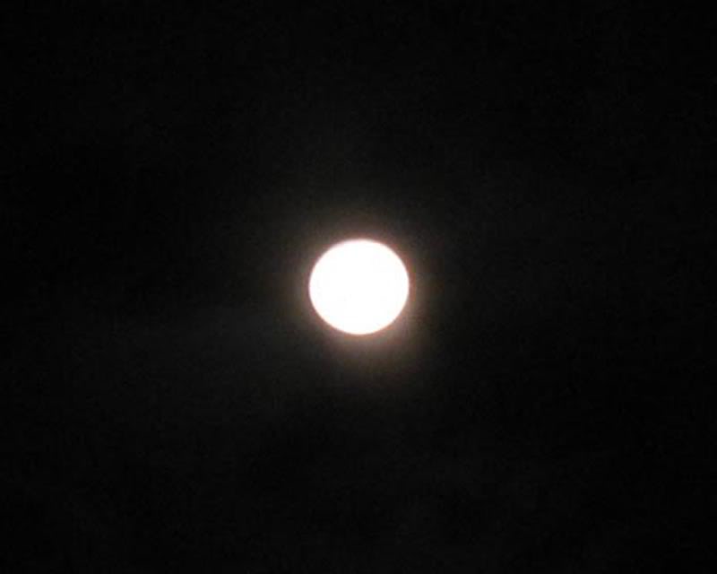 trang-1.jpg