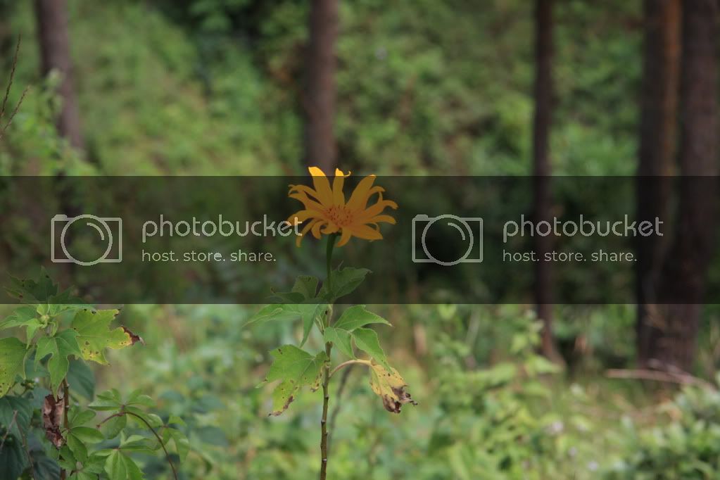 IMG_4745.jpg