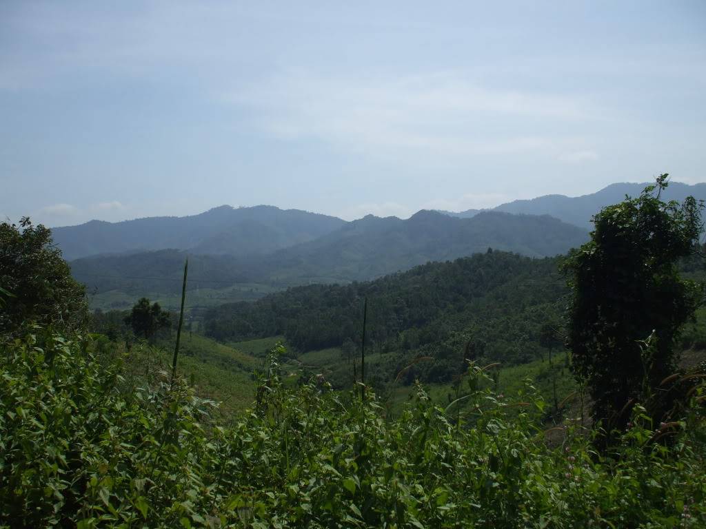 DSCF3157.jpg
