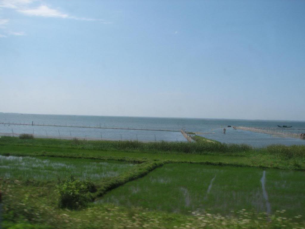 IMG_0084_zpsfff3cfee.jpg