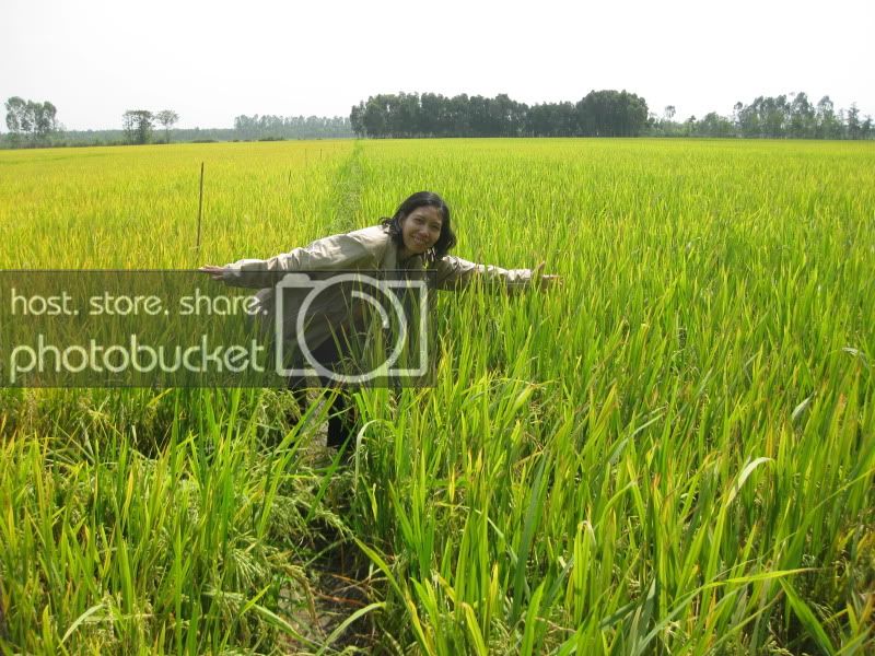 DongThapTET2011374.jpg
