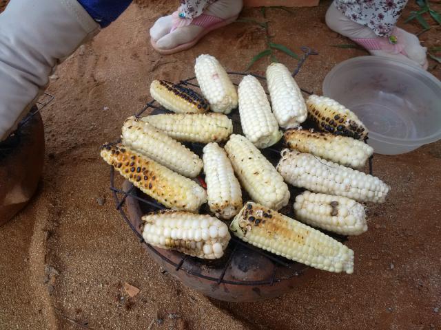 IMG_20140718_170400.jpg