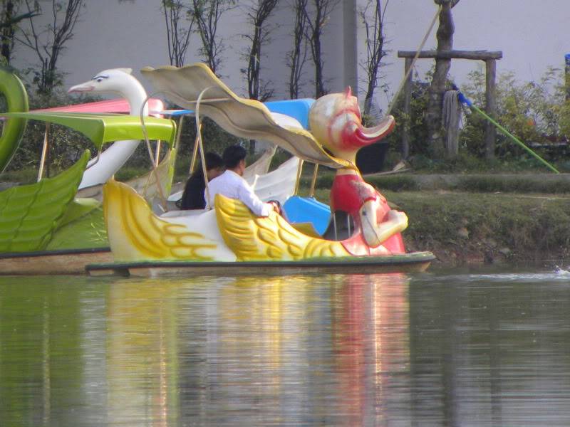 DSCN4081.jpg