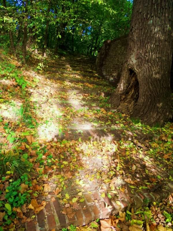 DSCN1152.jpg