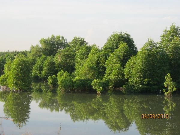IMG_0075.JPG