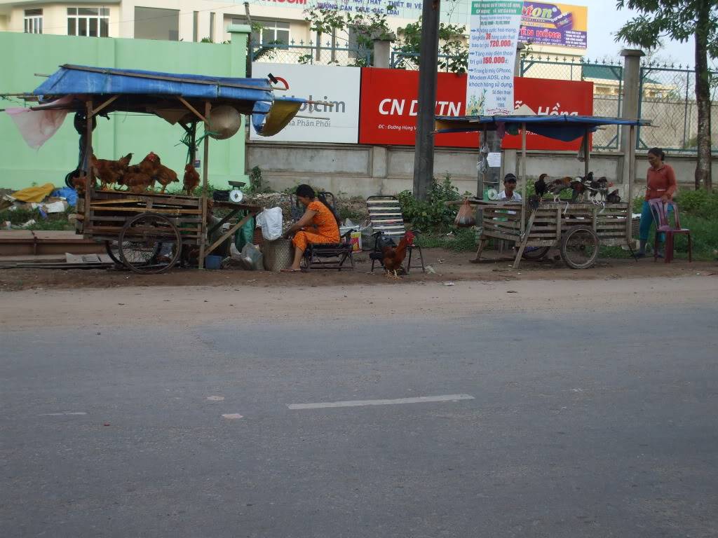 DSCF4783.jpg