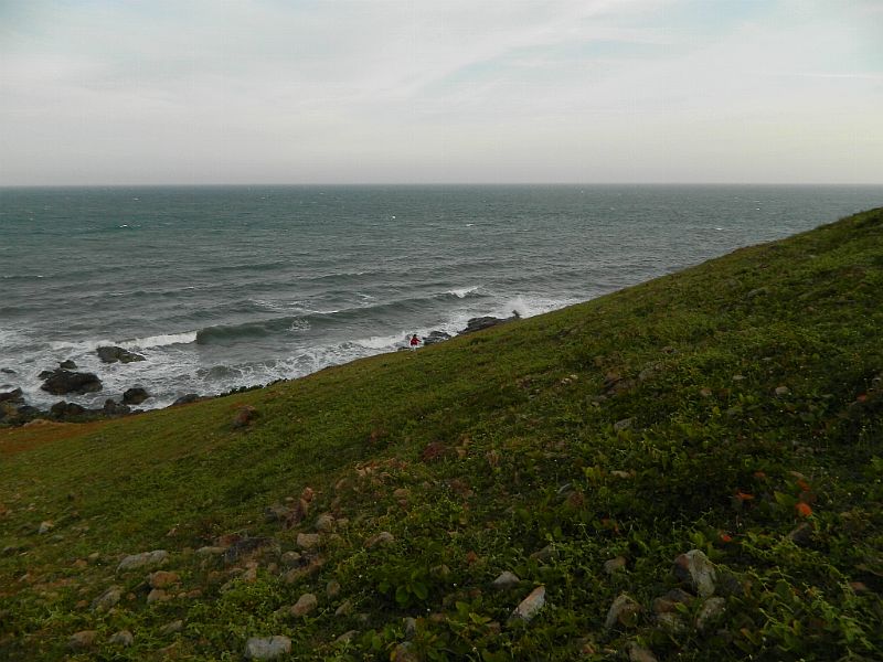 DSCN4542_370.jpg