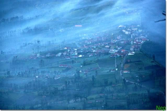 YY016.jpg