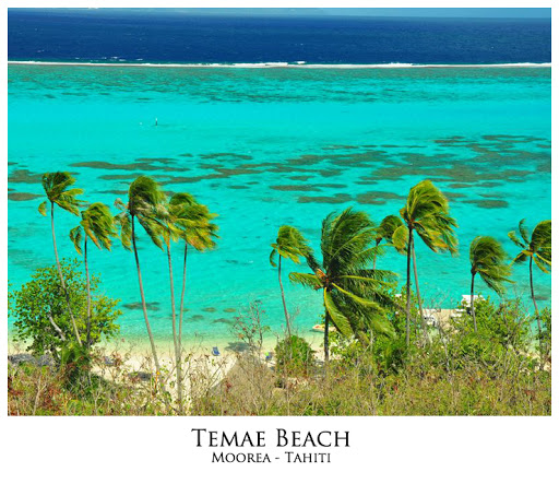 Moorea009.jpg