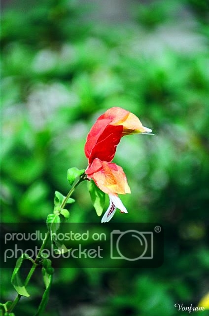00032-21.jpg