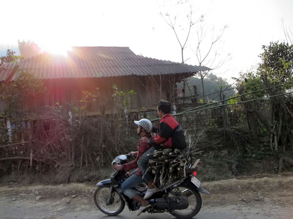 HongNgai2011056.jpg