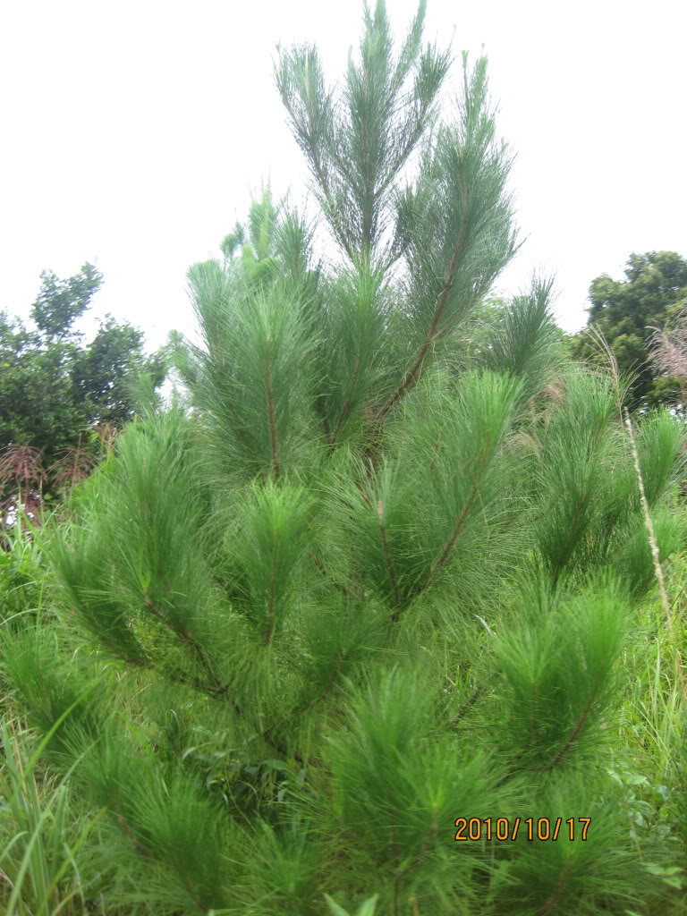 IMG_0544.jpg