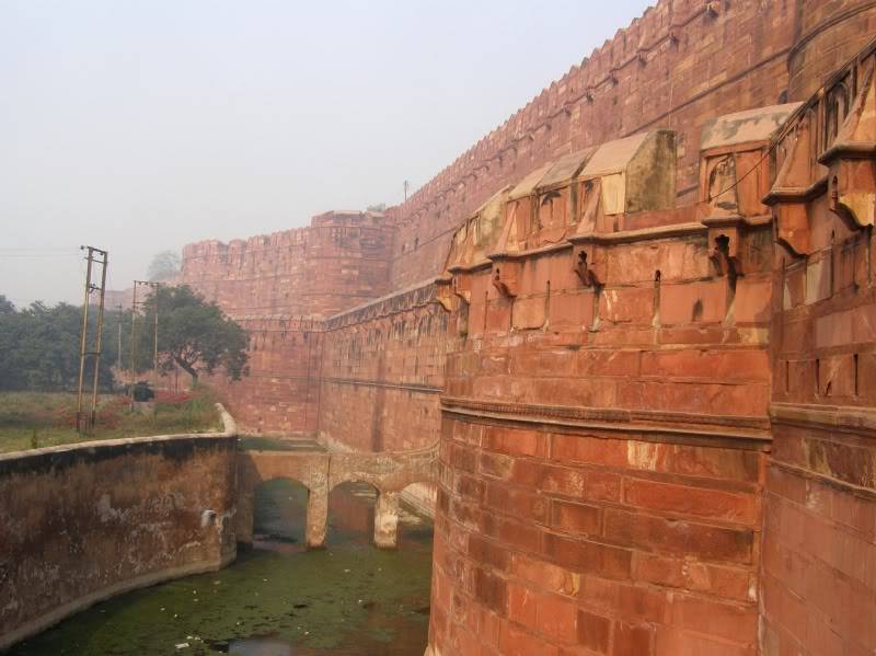 PB260096-1.jpg