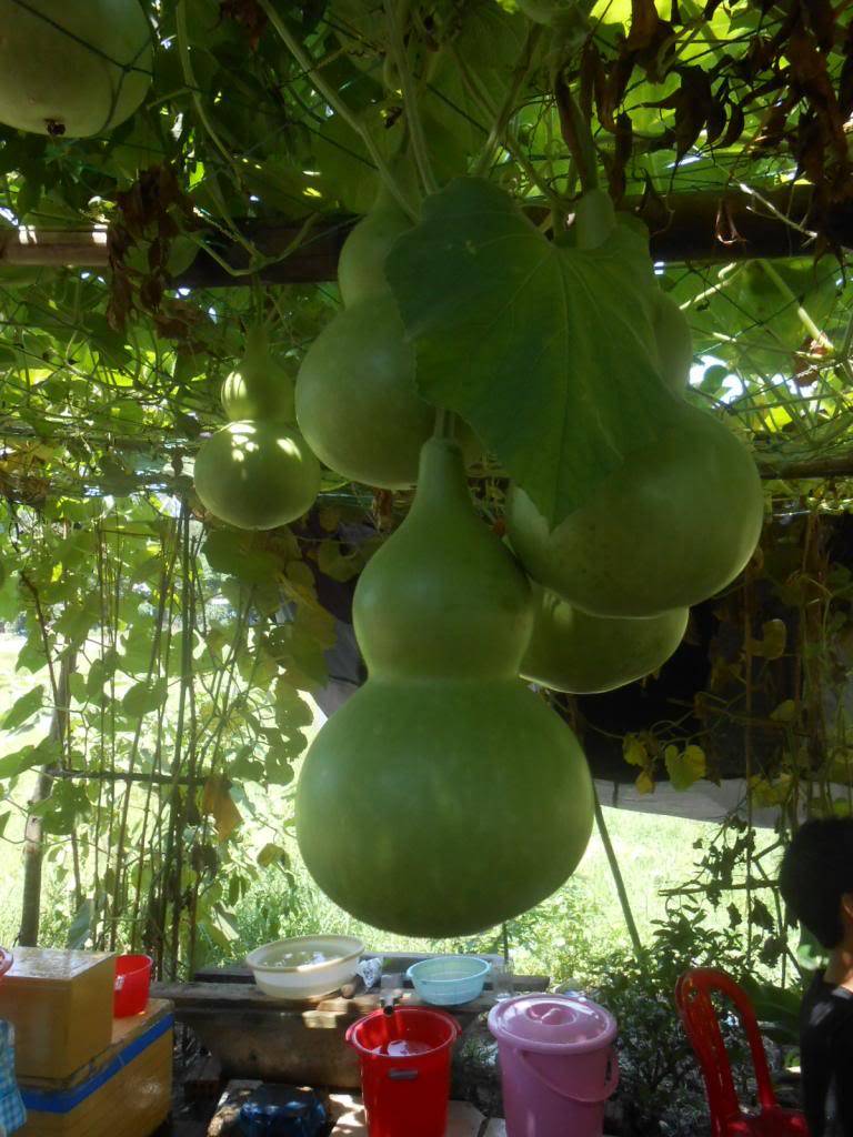 DSCN3735.jpg