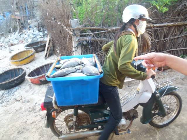 P1040547_resize.jpg