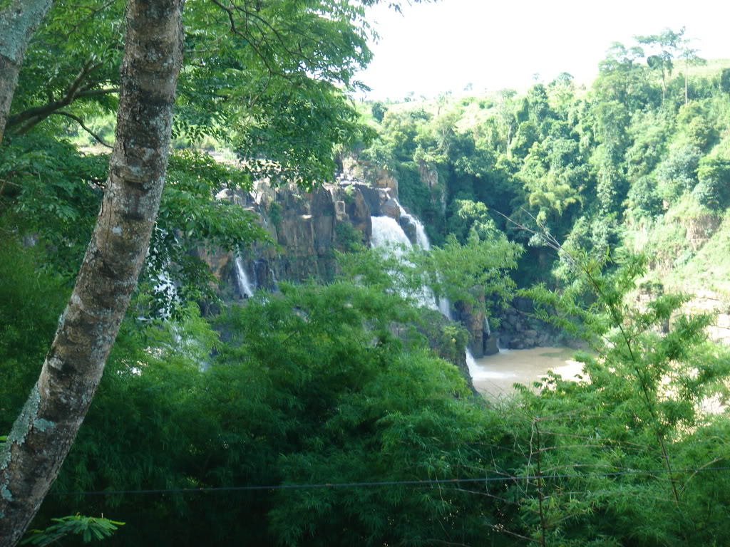 DSC00585.jpg