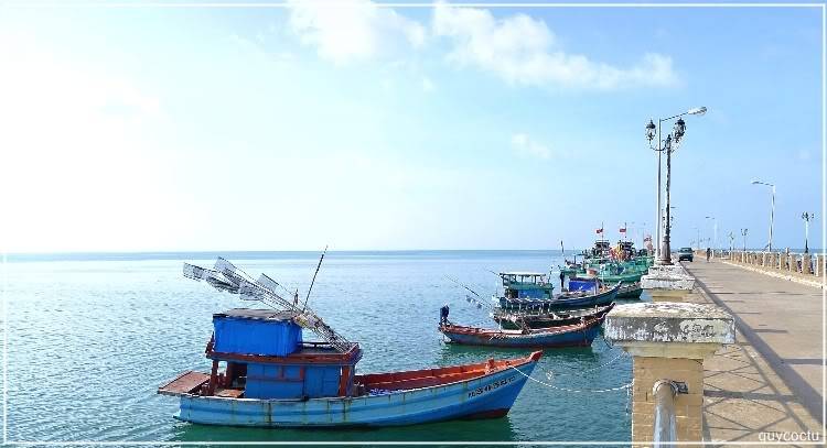 ThoChau_Quycoctu_P11.jpg