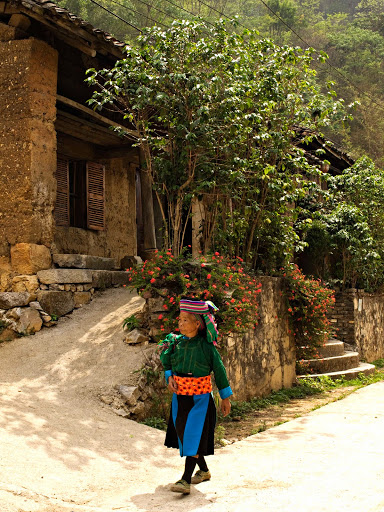 P5094430.jpg