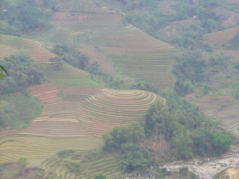 P1080005.JPG