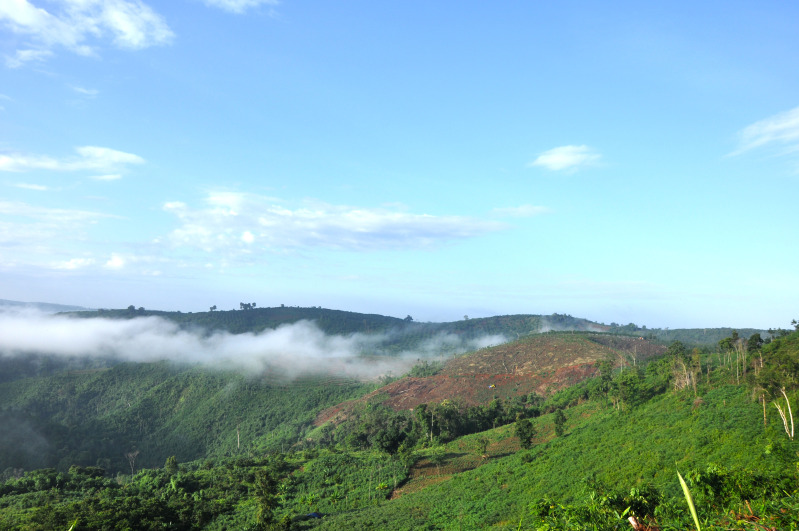 DSC_1433.jpg