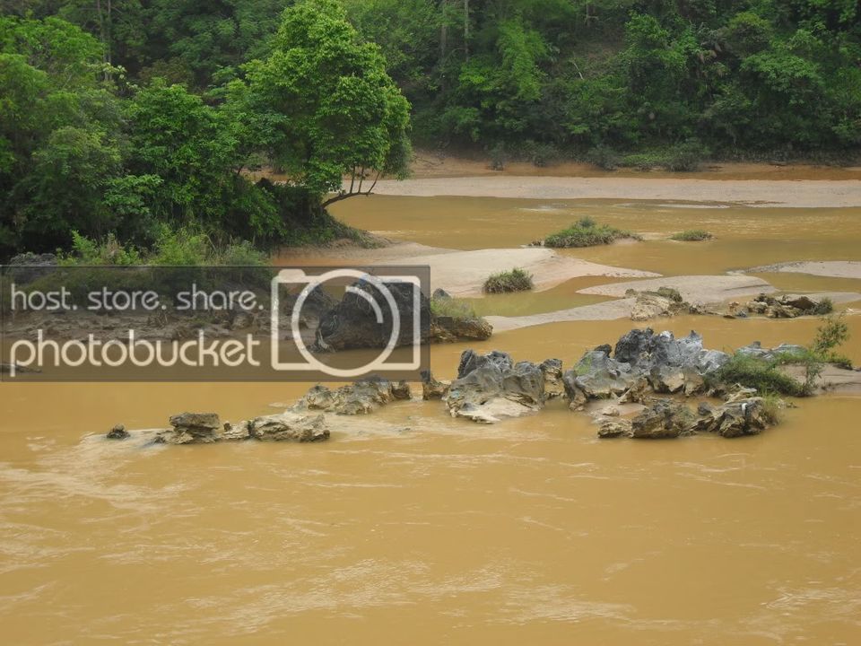 SDC15533.jpg