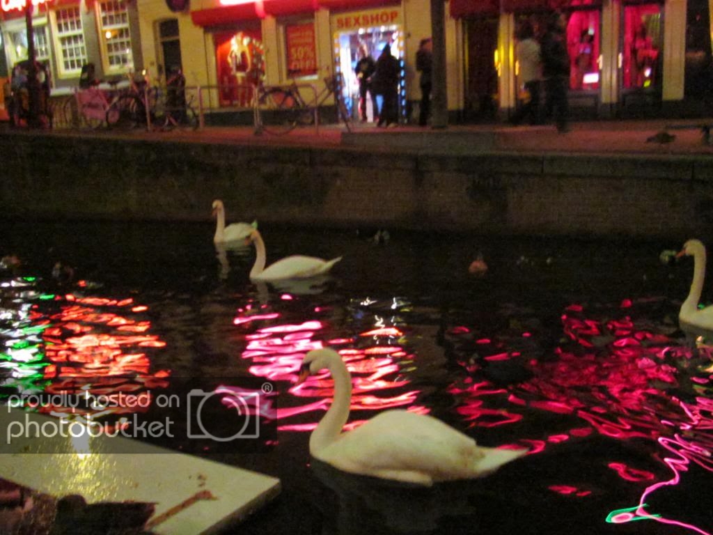 IMG_7478_zps3a958ffc.jpg