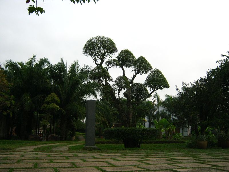 IMG_9687.jpg