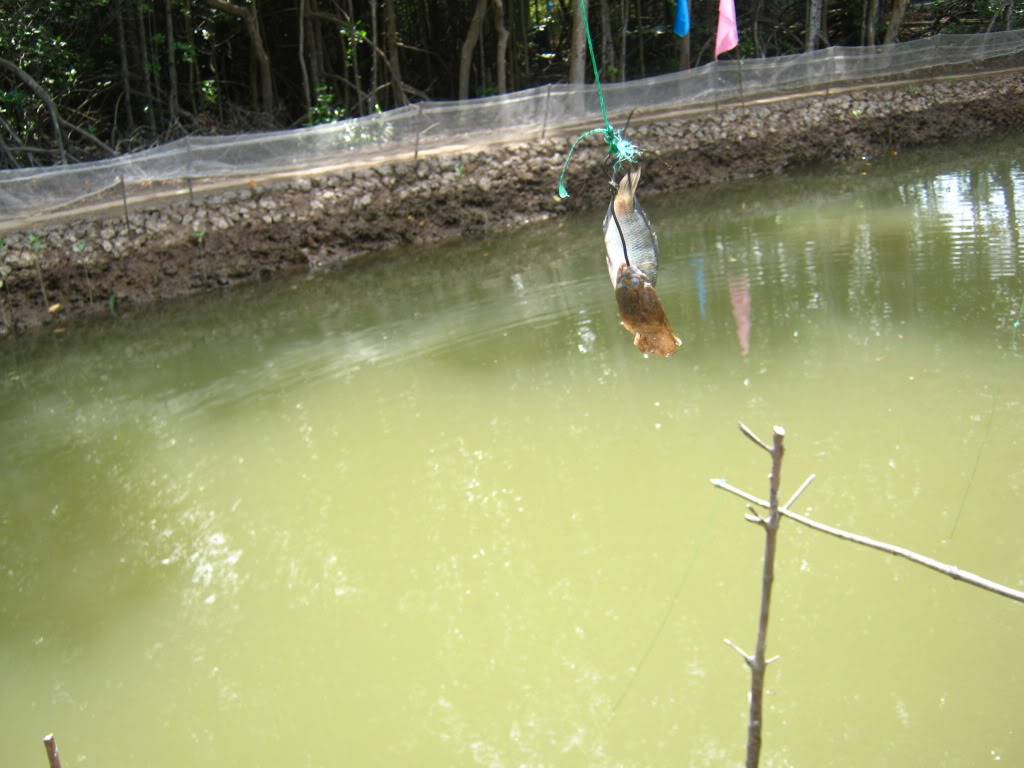 IMG_8640.jpg