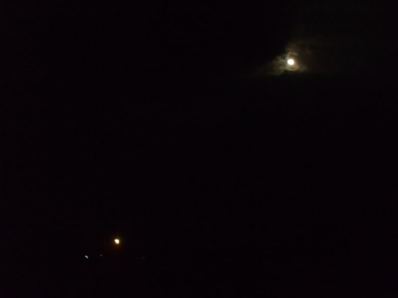 DSCF6908.jpg