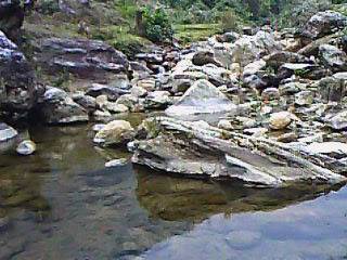 IMG0126A.jpg