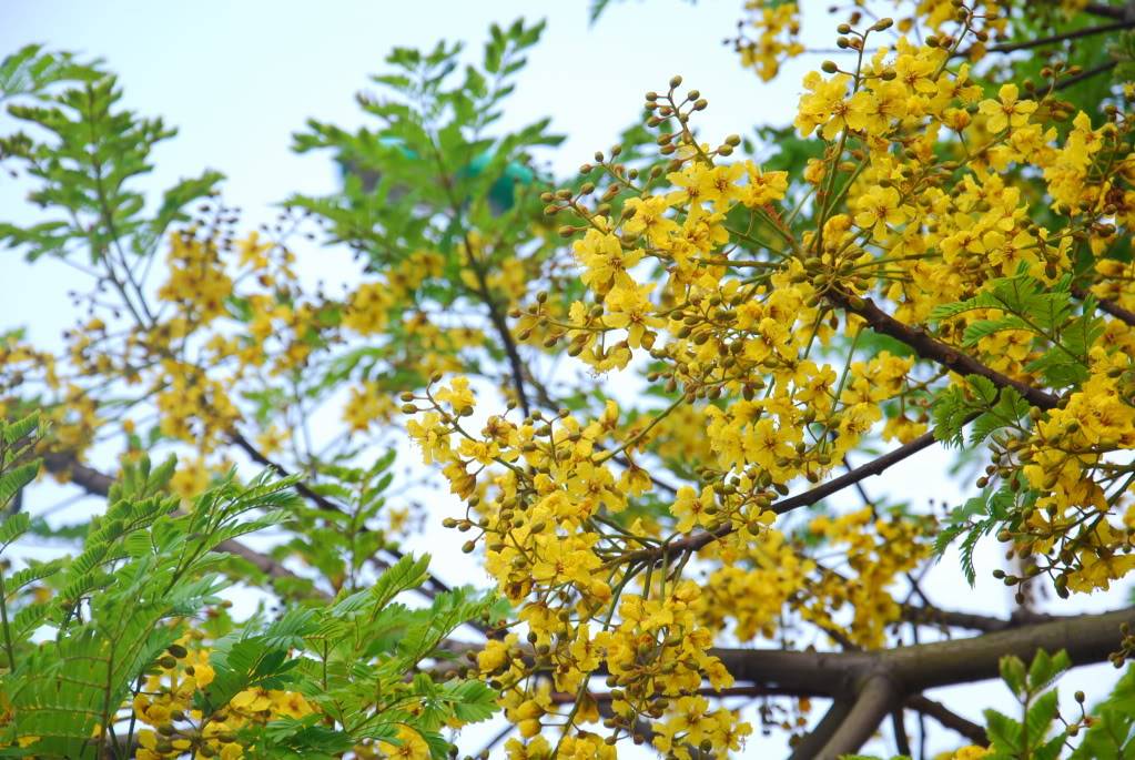 DSC_0146.jpg