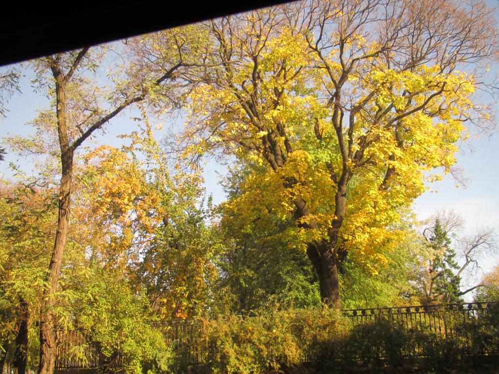IMG_8180_zpsfd32f79f.jpg