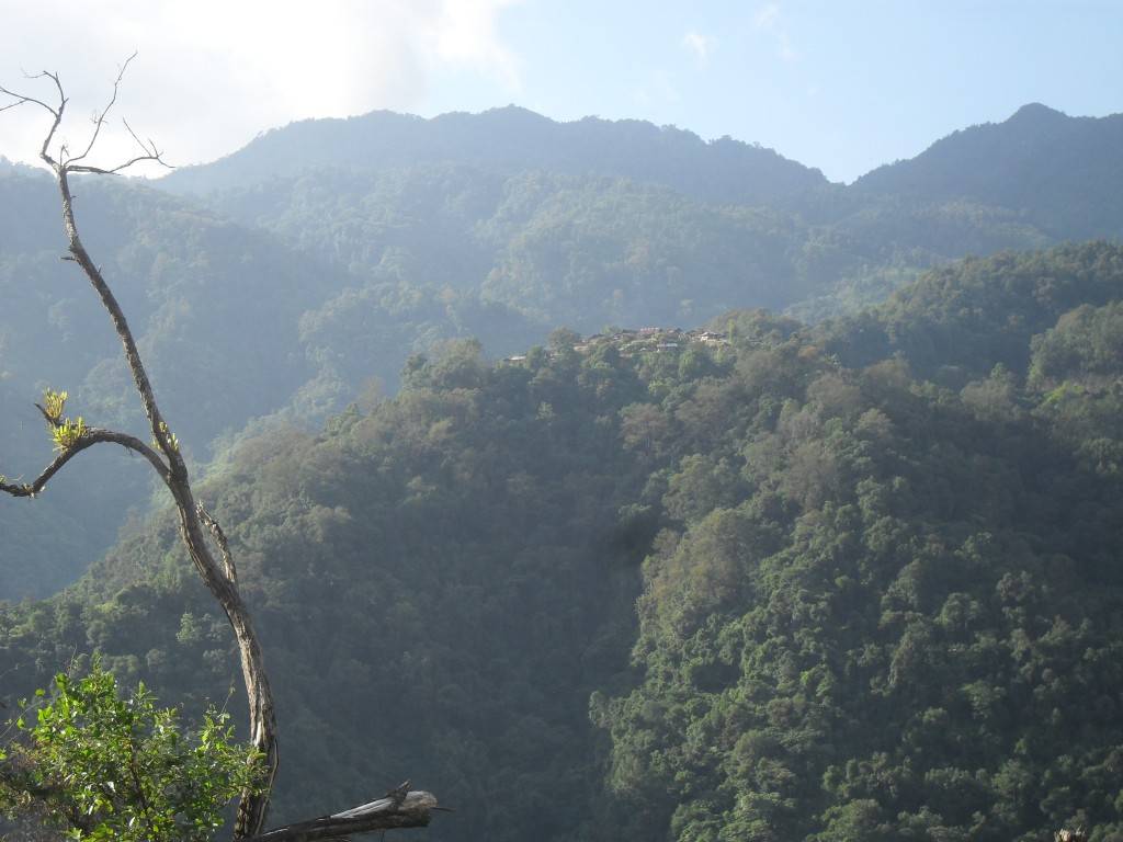 SDC12104_zps14b1dac7.jpg
