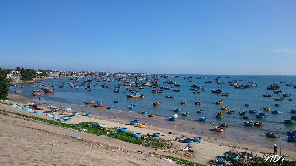 DSC_3850.jpg