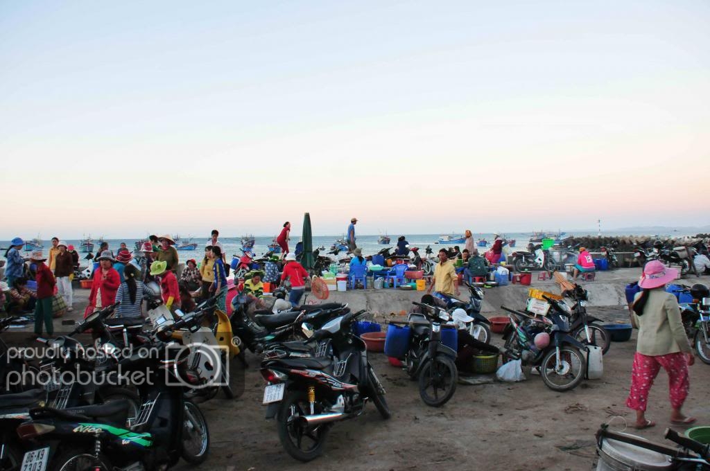 DSC_2463_zps195cb5f7.jpg