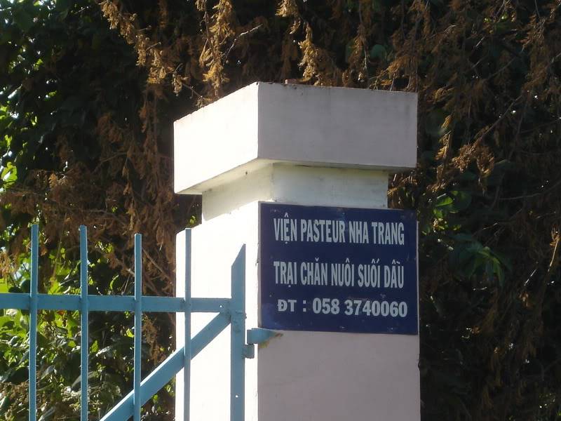 sDSC01450.jpg