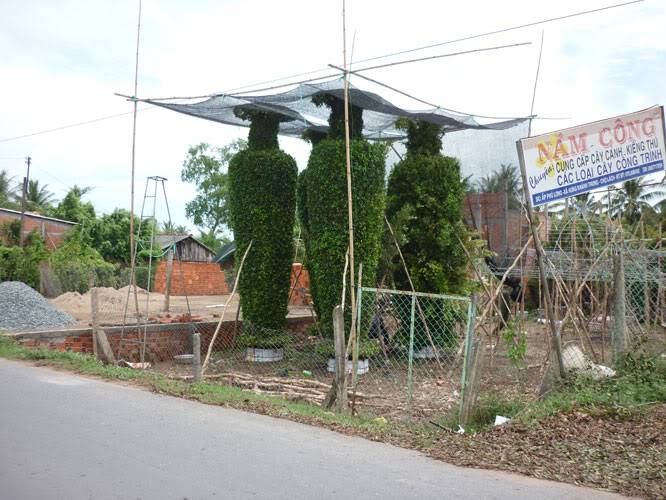 P1340177.jpg